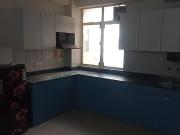 2 BHK Apartment in Sector 33 for rent Sohna. The...