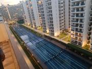 2 BHK Apartment in Sector 33, Sohna for resale Gurgaon....