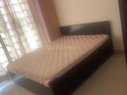 2 BHK Apartment in Sector 36 for rent Sohna. The...