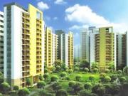 2 BHK Apartment in Sector 47 for rent Gurgaon. The...