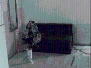 2 BHK Apartment in Sector 51 for rent Chandigarh. The...