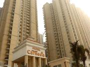 2 BHK Apartment in Siddharth Vihar for rent Ghaziabad....