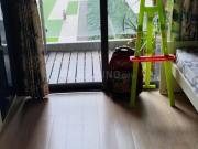 2 BHK Apartment in Sion for rent Mumbai. The reference...