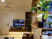 2 BHK Apartment in Sushant Golf City for rent Lucknow....