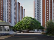 2 BHK Apartment in Thirumalashettyhally for resale...