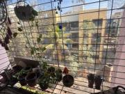 2 BHK Apartment in Vasai East for resale Mumbai. The...