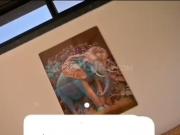 2 BHK Farm House in Bhatagaon for resale Raipur. The...