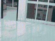 2 BHK Farm House in Powai for rent Mumbai. The reference...