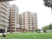 2 BHK Flat In Adore Happy Homes for Rent In Sector 86