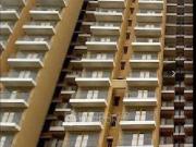 2 BHK Flat In Breez Global Hill View for Rent In Sector 11