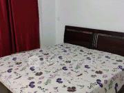 2 BHK Flat In Breez Global Hill View for Rent In Sohna