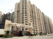 2 BHK Flat In Gaur City for Rent In Sector 4
