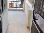 2 BHK Flat In Jd Block Pitampura for Rent In Jd Market