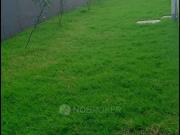 2 BHK Flat In Lasavi Arcade, Kudlu For Sale In Hsr Layout