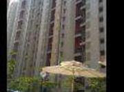 2 BHK Flat In Lodha Palava for Rent In Dombivli