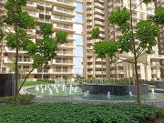 2 BHK Flat In M3m The Marina for Rent In Sector 68