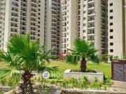 2 BHK Flat In Mgh Mulberry County for Rent In Sector 70