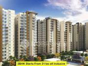 2 BHK Flat In Mgh Mulberry County, Sector 70 for Rent In...