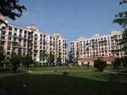 2 BHK Flat In Moraj Riverside Park for Rent In Takka Colony