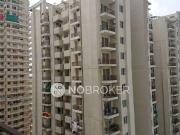 2 BHK Flat In Mulberry County for Rent In Mulberry County