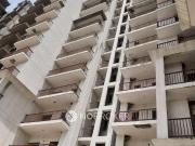 2 BHK Flat In Newtech La Palacia for Rent In Greater Noida
