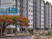 2 BHK Flat In Panchavati Bda Apartments, Gottigere for...