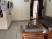2 BHK Flat In Panchsheel Greens for Rent In Noida Extension