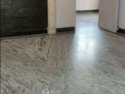 2 BHK Flat In Rwa Sheikh Sarai Apartment for Rent In 1d,... 2 BHK Flat In Rwa Sheikh Sarai Apartment for Rent In 1d,...