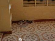 2 BHK Flat In Sb for Lease In 26m2+87m, Vivekananda St,...