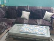 2 BHK Flat In Scc Sapphire for Rent In Raj Nagar Extension