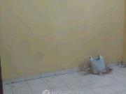 2 BHK Flat In Sector 20 Rohini Pocket 1 for Rent In...