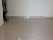 2 BHK Flat In Signature Global Millennia 3, Sector 37...