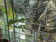 2 BHK Flat In Sousons Apartment For Sale In Borivali West