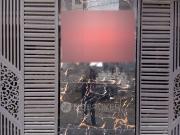 2 BHK Flat In Standalone Building for Rent In Uttam Nagar