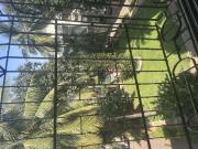 2 BHK Flat In Versova View for Rent In Andheri West