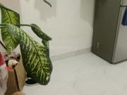 2 BHK Independent Builder Floor in Alipore for rent...