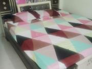 2 BHK Independent Builder Floor in Gujral Nagar for rent...