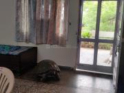 2 BHK Independent Builder Floor in Kalkaji for rent New...