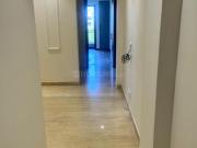 2 BHK Independent Builder Floor in Malviya Nagar for...