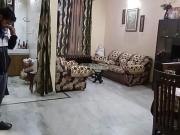 2 BHK Independent Builder Floor in Sector 32 for rent...
