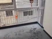 2 BHK Independent Builder Floor in Subhash Nagar for...