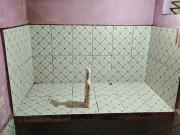 2 BHK Independent House in Alambagh for rent Lucknow....