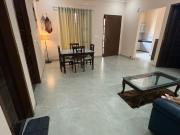 2 BHK Independent House in Gmada Aerocity for rent...