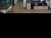 2 BHK Independent House in JP Nagar for rent Bangalore....