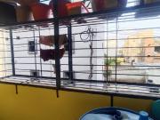 2 BHK Independent House in Kukatpally for rent...
