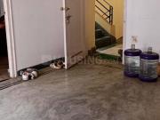 2 BHK Independent House in New Town for rent Kolkata....