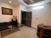 2 BHK Independent House in Sector 45 for rent Gurgaon....