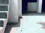 2 BHK Independent House in Vaishali for rent Ghaziabad....