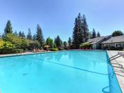 2 Br, 1 bath, Apartment 3334 Smoketree Dr