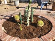 2 Br, 1 bath, Single Family 1548 E 9th St